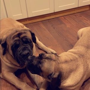 Meet your Posher, Brittney